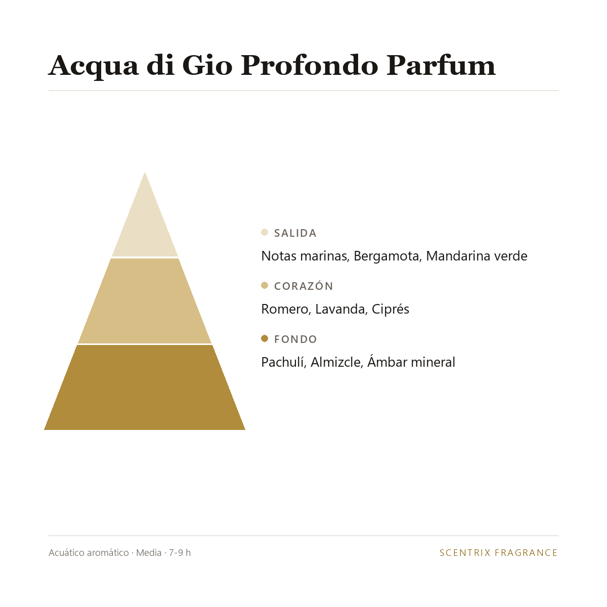 Pir&aacute;mide olfativa de Acqua di Gio Profondo Parfum