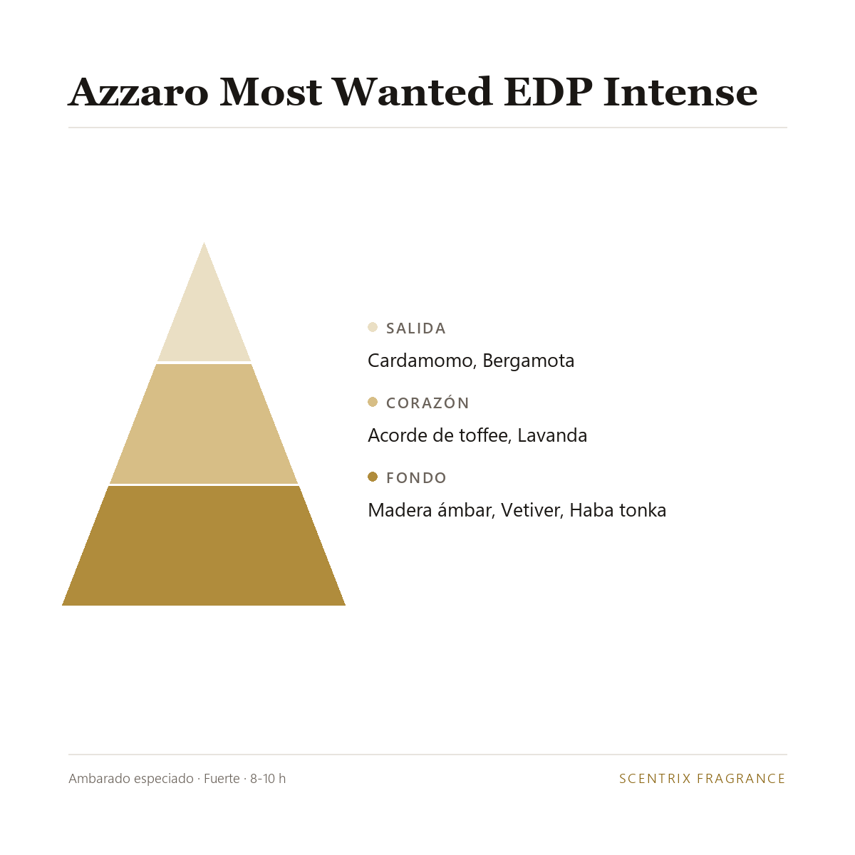 Pirámide olfativa de Azzaro Most Wanted EDP Intense