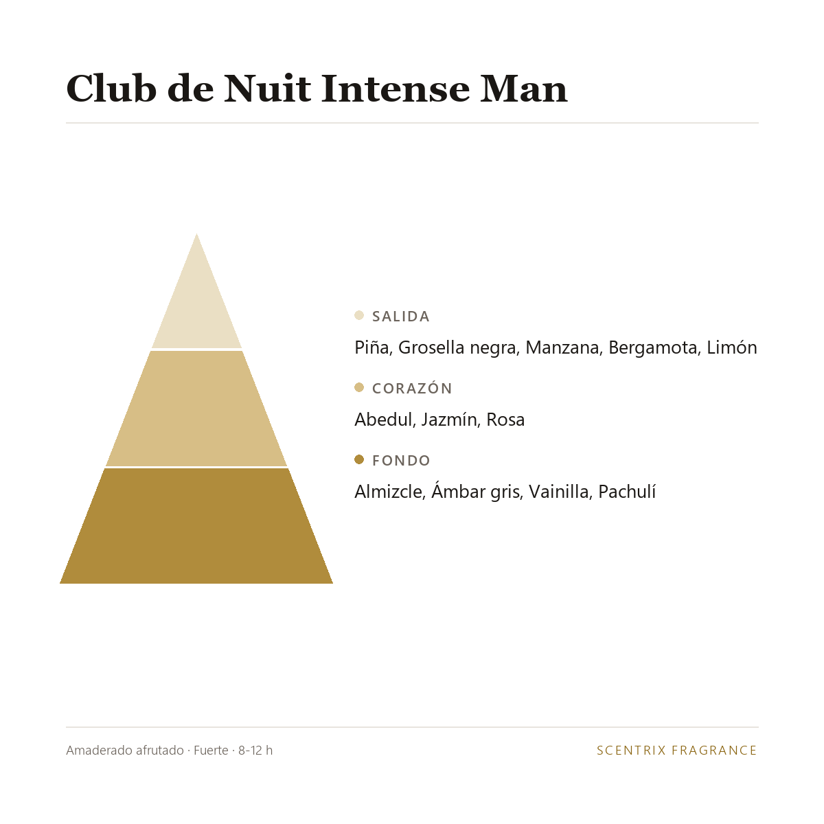 Pirámide olfativa de Club de Nuit Intense Man