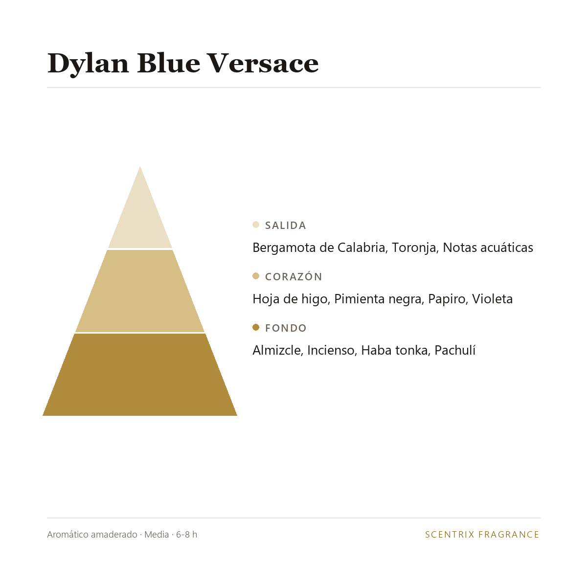 Pir&aacute;mide olfativa de Dylan Blue Versace