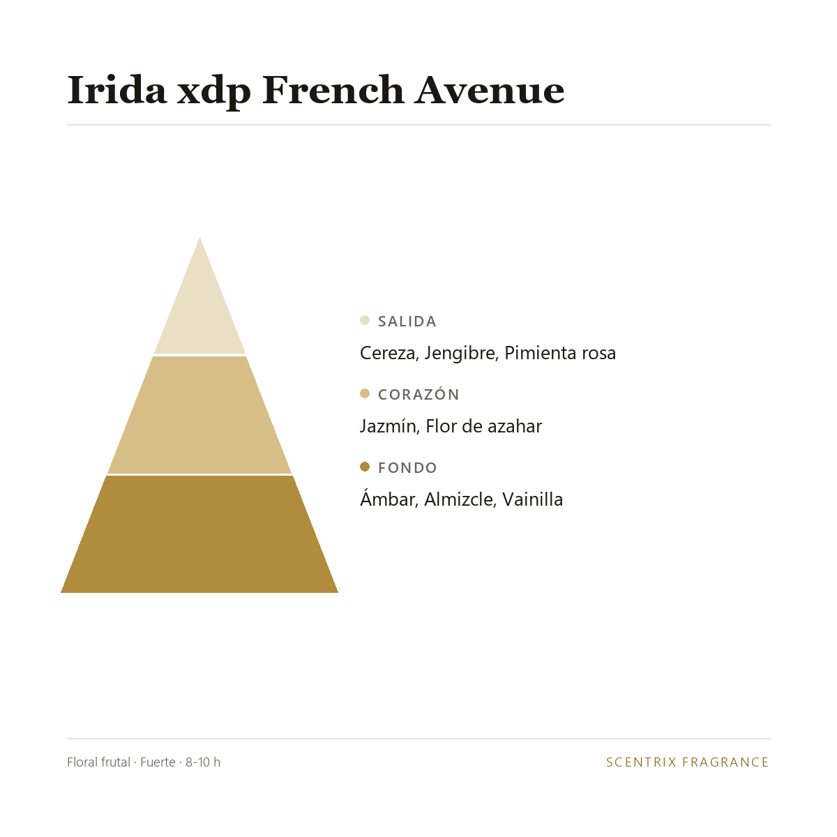 Pir&aacute;mide olfativa de Irida xdp French Avenue